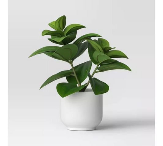 Artificial Peperomia Caperata in Melamine Pot - Indoor Decor